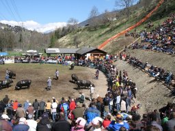 KuhkampfMission 2011