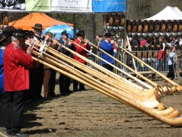 KuhkampfMission 2011