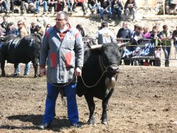 KuhkampfMission 2011